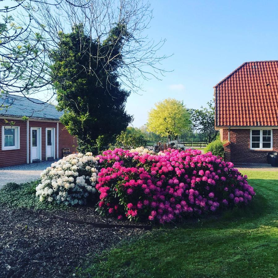 B&B Saga Herning Exterior photo